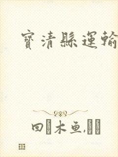 宝清县运输公司