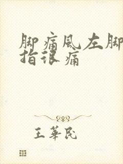 脚痛风左脚大拇指很痛封面