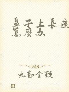 鼻子上长痤疮是怎么办