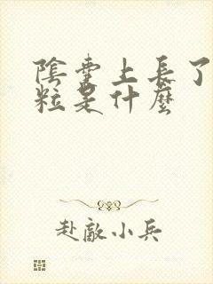 阴囊上长了个肉粒是什么