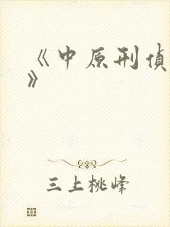 《中原刑侦大案》