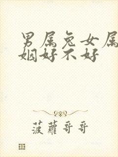 男属兔女属龙婚姻好不好封面