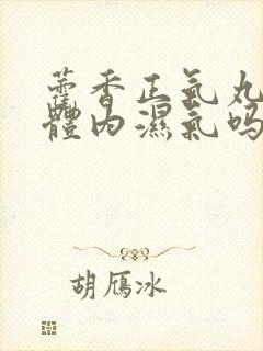 藿香正气丸能除体内湿气吗封面