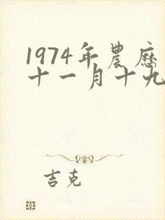 1974年农历十一月十九日出生命运?