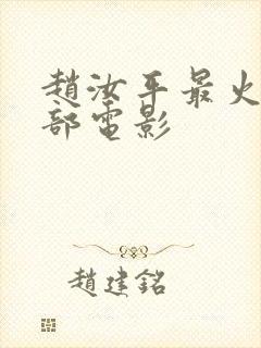 赵汝平最火的三部电影