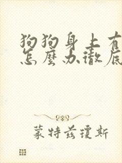 狗狗身上有螨虫怎么办彻底清除封面