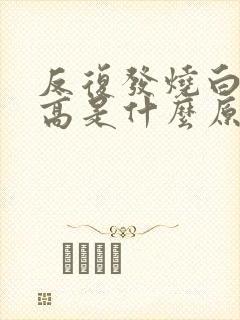 反复发烧白细胞高是什么原因