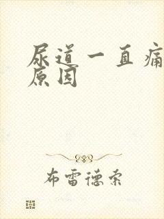 尿道一直痛什么原因