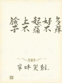 脸上起好多红疹子不痛不痒封面