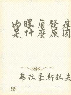 内眼角发痒红肿是什么原因