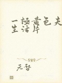 一极黄色夫妻性生活片