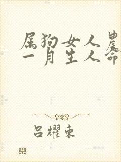 属狗女人农历十一月生人命运封面
