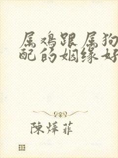 属鸡跟属狗的相配的姻缘好吗