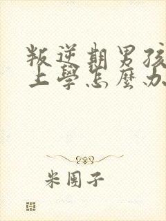 叛逆期男孩不去上学怎么办