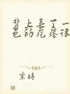 背上长了一个红色的疙瘩很疼