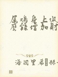 属鸡身上佩戴什么能增加财运