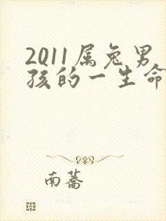 2011属兔男孩的一生命运封面