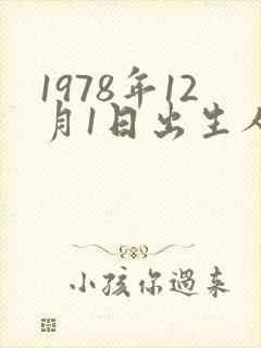 1978年12月1日出生人的命运