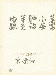 肉芽肿小叶性乳腺炎治疗需要多少钱