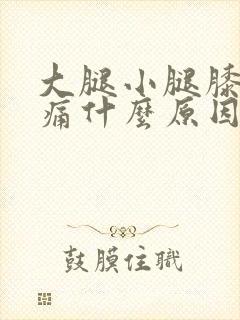 大腿小腿膝盖酸痛什么原因引起的封面