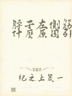 脖子左侧筋疼是什么原因引起的