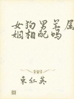 女狗男羊属相婚姻相配吗