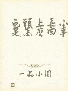 龟头上长小疙瘩是怎么回事