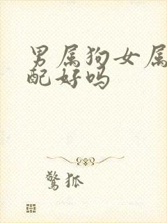 男属狗女属龙婚配好吗