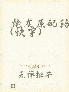 炮灰原配的人生(快穿)