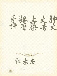 牙龈上火肿了吃什么药去火