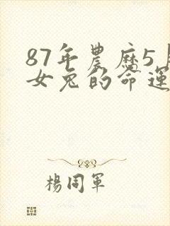 87年农历5月女兔的命运