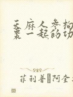 天麻人参枸杞红枣一起的功效