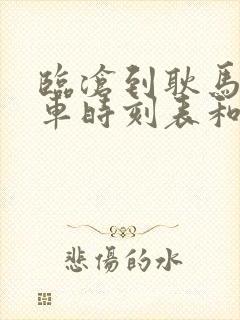 临沧到耿马的汽车时刻表和票价