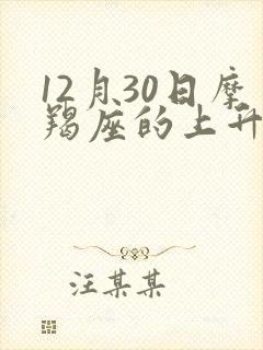 12月30日摩羯座的上升星座是什么封面