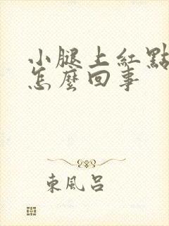 小腿上红点点是怎么回事