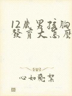 12岁男孩胸部发育大怎么回事