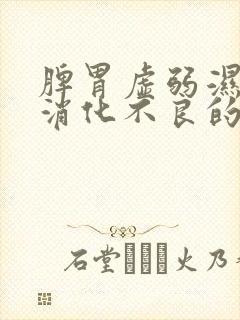 脾胃虚弱湿气重消化不良的症状