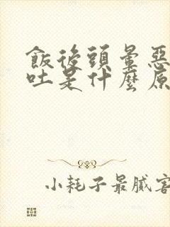 饭后头晕恶心想吐是什么原因引起的