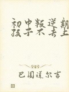 初中叛逆期的男孩子不去上学怎么去引导