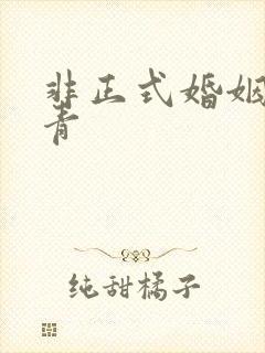 非正式婚姻雾里青