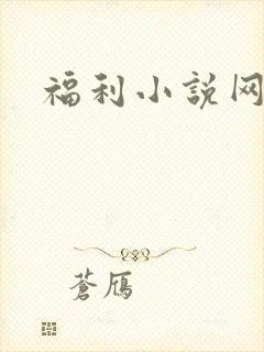 福利小说网