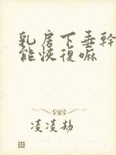 乳房下垂干瘪还能恢复嘛封面