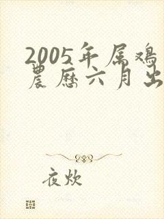 2005年属鸡农历六月出生命运