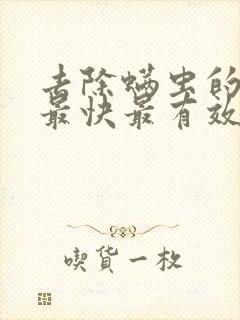 去除螨虫的方法最快最有效