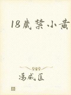 18岁禁小黄片