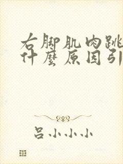 右脚肌肉跳动是什么原因引起的