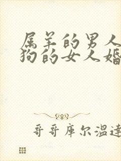 属羊的男人和属狗的女人婚姻怎么样