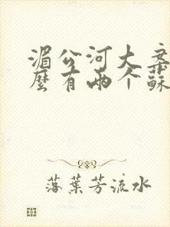 湄公河大案为什么有两个苏沃