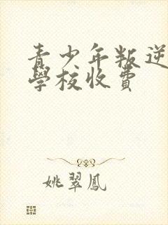 青少年叛逆纠正学校收费