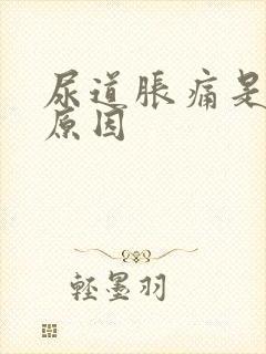 尿道胀痛是什么原因